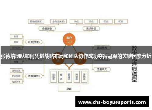 张德培团队如何凭借战略布局和团队协作成功夺得冠军的关键因素分析