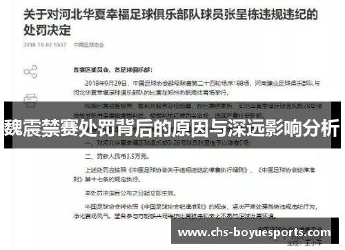 魏震禁赛处罚背后的原因与深远影响分析