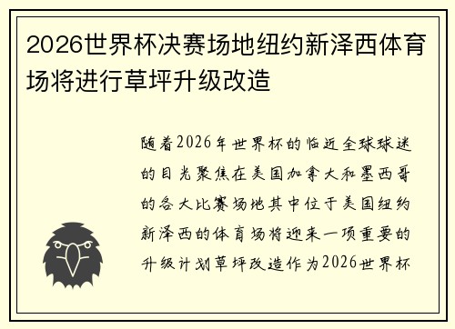 2026世界杯决赛场地纽约新泽西体育场将进行草坪升级改造